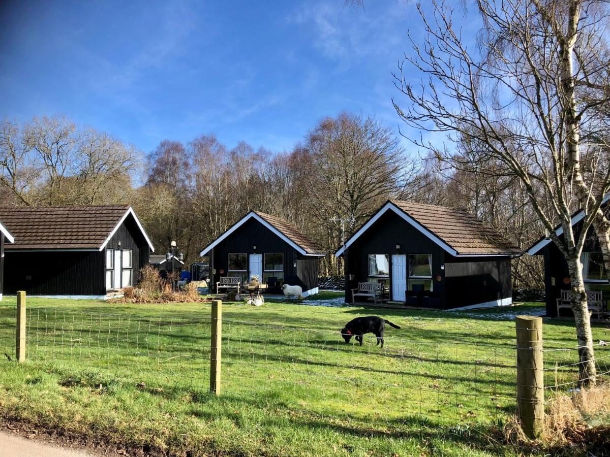 Kilcoy Chalets Muir of Ord Exterior foto