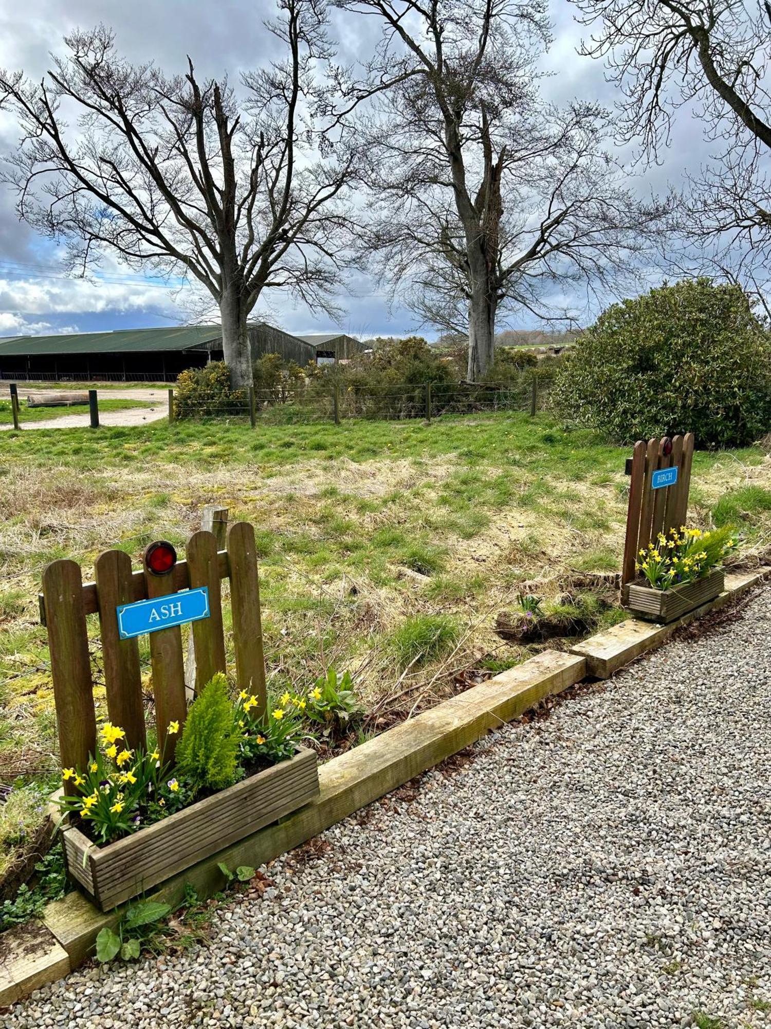Kilcoy Chalets Muir of Ord Exterior foto